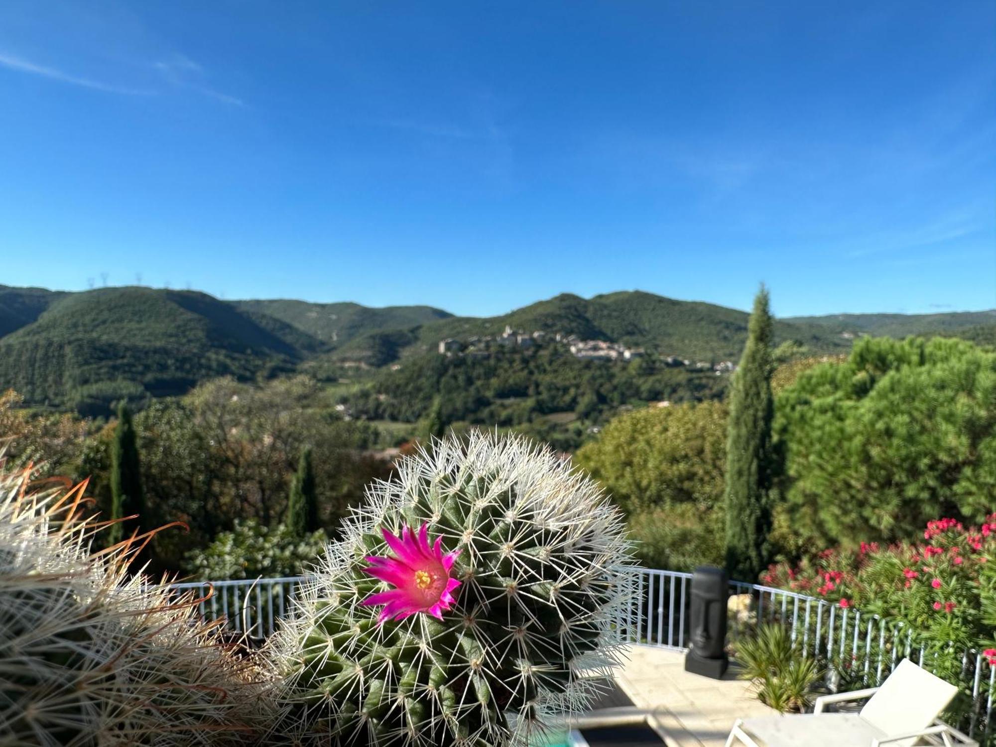 Bastide Saint-Thome Екстер'єр фото